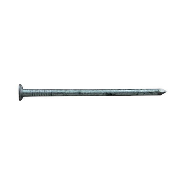 Homestead 2.5 in. 8D 1 lbs HDG Box Nail HO2739669 - main